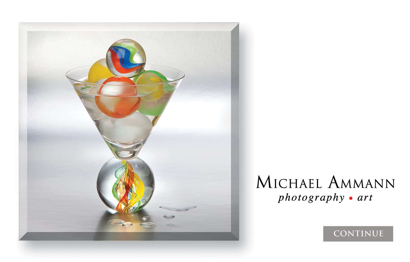 Michael Ammann Homepage